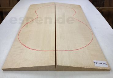 Soundboard Spruce, Arch Top Unique Piece #001